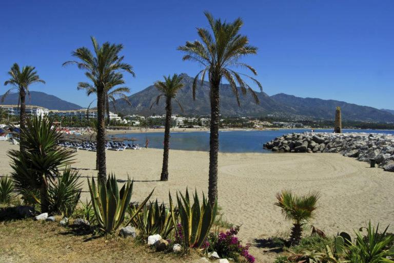 Renovado Apartamento 1 Dormitorio,Centro Marbella. Marbelsun Exterior foto
